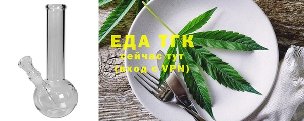 СК Горняк