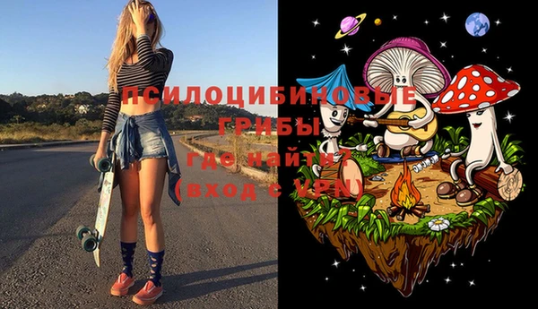 гашиш Горнозаводск