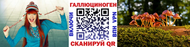купить  сайты  Гудермес  Псилоцибиновые грибы GOLDEN TEACHER 