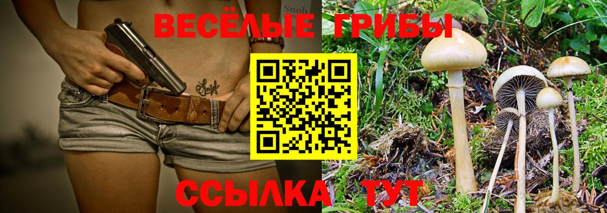 Псилоцибиновые грибы GOLDEN TEACHER Гудермес