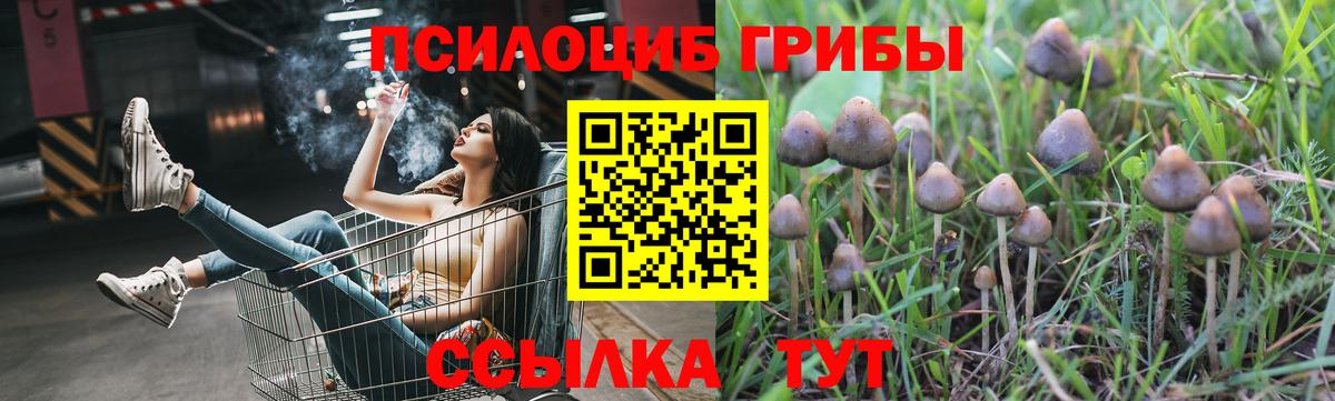 Псилоцибиновые грибы прущие грибы  Вход с VPN  Галлюциногенные грибы мицелий  Гудермес 